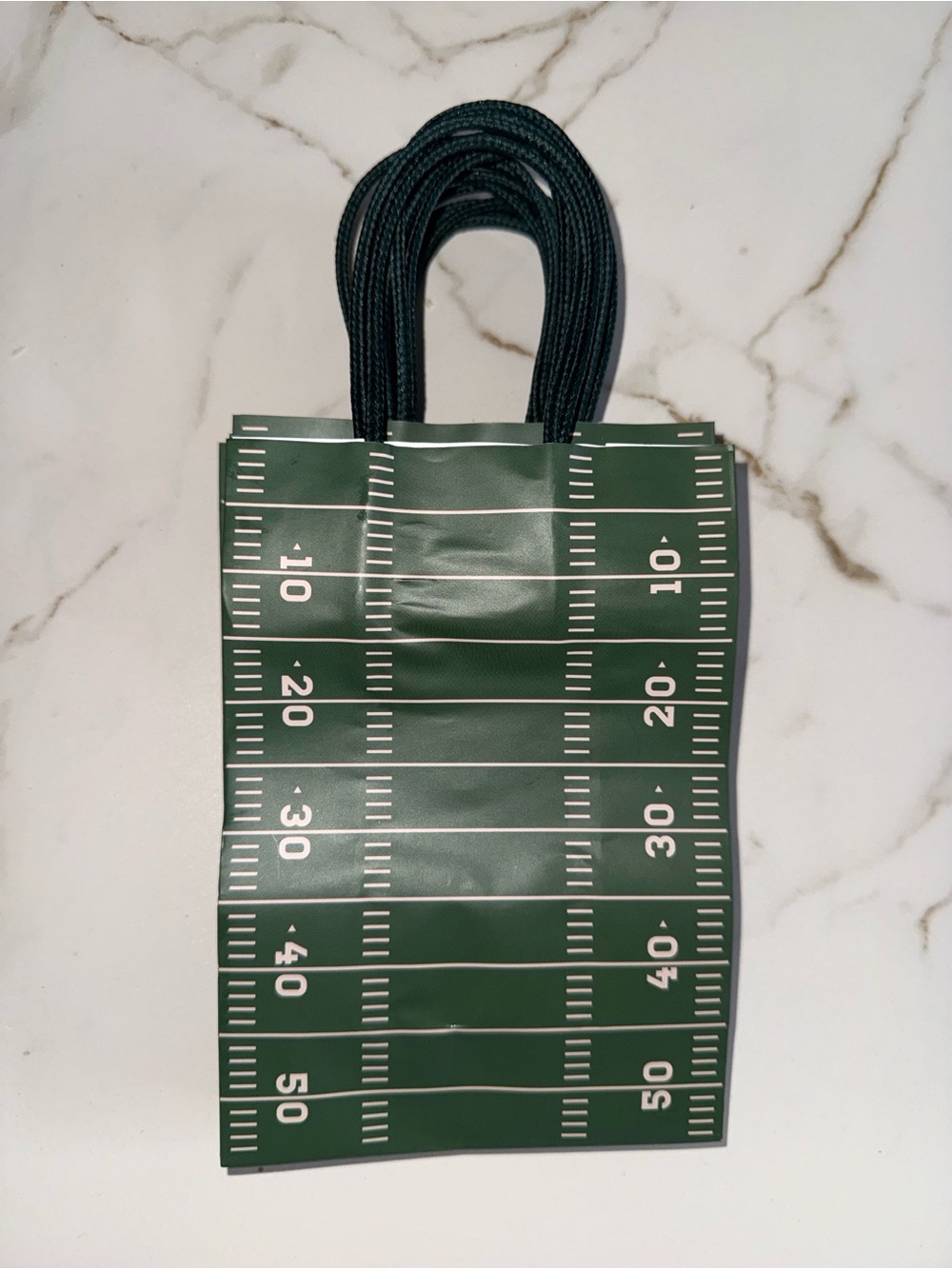 Set of 8 Football Field Gift Bags Game Day Party Favor Treat Bags 🏈